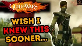 9 Things I Regret Not Knowing Sooner In Guild Wars Reforged