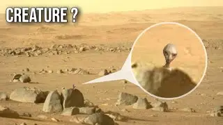 Martian Creature: Creature on Mars spotted by NASA's Curiosity Rover | Perseverance Rover Sol 399