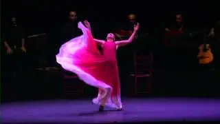 DANSA Compañia Sara Baras (2007-08) 