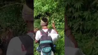perjalanan dari candi wesi menuju rancang kencono