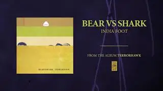 Bear Vs. Shark 