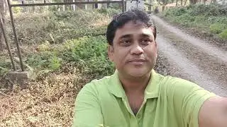 চাপড়ামারী ফরেস্ট বাংলোতে একদিন ( CHAPRAMARI FOREST BUNGLOW)