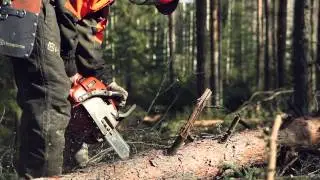 Ammattiopisto Livia - Metsäopetus