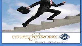 Codec Networks Training Portfolio