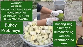 PAANO MAG BALAT NG KAMANSI NA HINDI IITIM, HINDI MASAYANG ANG KAMANSI, MASARAP ITO GULAYIN, AT ULAM.