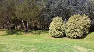 Um minuto de tranquilidade no Parque da Cidade