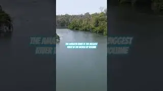 A Fact About The River Amazon you Didnt know Before🔥
