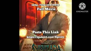 Shehzada Full Movie Download | 480p, 720p and 1080p