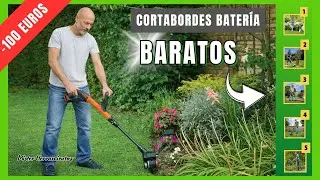 5 Cortabordes a bater&iacute;a, baratos y potentes por menos de 100 euros: Incluido bater&iacute;a y cargador