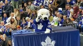 Carlton The Bear