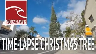 Time-lapse: Community Christmas Tree Installation | Noozhawk News