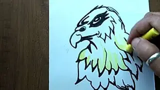 EASY DRAWKING OF HAWK STEP BY STEP | HOW TO DRAW HAWK BIRD🦅