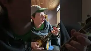 death metal mandolin ☠️