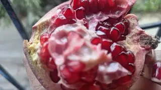 Top secrets of Pomegranate l best for toddler's l