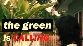 being A fool WALKING in Malaysia / Tropical Garden walk / Nature Time