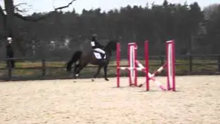 GCSE Riding Exam & Flatwork Lesson