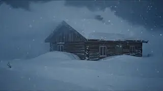 Absolute Epic Snowstorm in a Freezing Forest┇Howling Wind & Blowing Snow┇Sounds to Relax & Focus