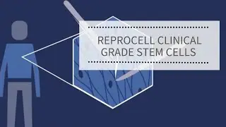 REPROCELL clinical-grade stem cells | Consistency, safety, quality
