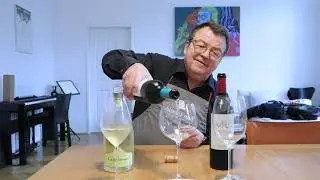 WEIN & CO serviert Steinpilz-Risotto: Weinverkostung