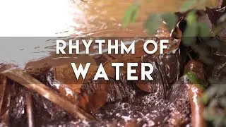 RHYTHM OF WATER | Canal Water Flow Sound | ASMR