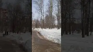 🇷🇺 Россия от юга до севера|#shorts #respect #travel #russia #веснаидет #отюгадосевера #моястрана