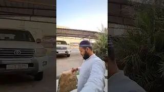 House Driver Life |Mini Vlog in Kuwait | #shorts #minivlog #shortvideo