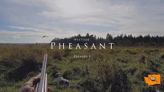 Охота на фазанов в Вестсайде. Эпизод I