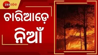 Odisha Jungle Fire | What Causes Forest Fire? | Odisha Today | Top News | Balangir News