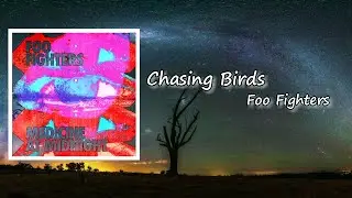 Foo Fighters - Chasing Birds Lyric