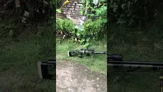 Senapan Pcp Ruger AWM Langsung HUB 085749420049 #pcpbiggame #senapanbiggame #pcpruger  #pcpjawa