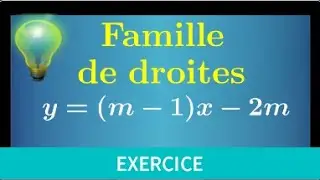 Équation réduite de droite • Droite dépendant d'un paramètre • exercice seconde