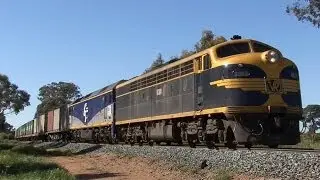 VR Blue and Gold on the Toolamba Line - QUBE Deniliquin Freight: Australian Trains