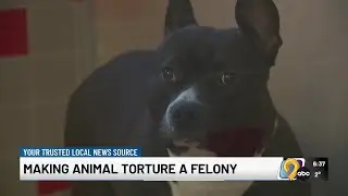 Advertisement Animal Rescue League of Iowa calls on lawmakers to make animal torture a felony