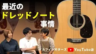【大阪店】店頭のドレッドノートをご紹介！【ドルフィンギターズYoutube店】