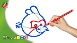 Red Bird from Angry Birds Drawing Tutorial