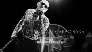 giuliano palma & the bluebeaters-out of times