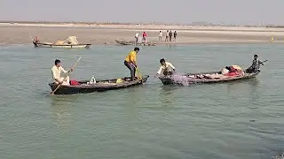 How can it be possible to catch such a big fish in a small net #fishhunting2 #Netfishing #Virelvideo