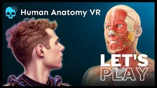 Virtual reality: The bone-ified teacher | Let's Play Human Anatomy VR (PSVR2)
