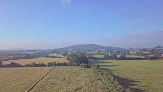 🌳 NINEBARROW WOODLAND UPDATE 34 - Summer has arrived!