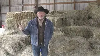 Common Mistakes of New Horse Owners