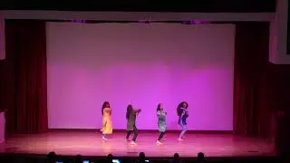 Pakistan Student Association / Cultural Explosion Event at University of Houston 2019