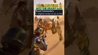 Brood Commander BUFF After Patch 4.1.0 - Helldivers 2