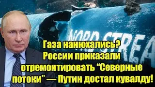 🔥 Газа нанюхались? Европе приказали России чинить &laquo;Северные потоки&raquo; &mdash; Путин ДОСТАЛ КУВАЛДУ!