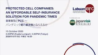 Protected Cell Companies: An Affordable Self-Insurance Solution For Pandemic Times