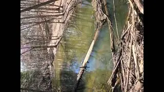 Exploring the ledges in Grand Ledge MI