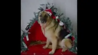 NATALE2014