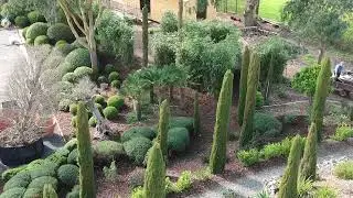 Did you know we design & plant gardens?