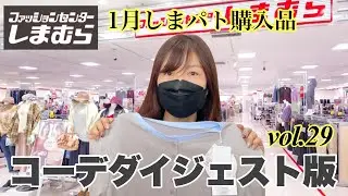 【しまむら】購入品しばり☆2026年1月コーデダイジェスト
