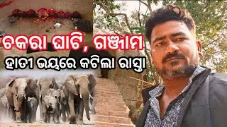 Maa Chakara Ghati Karadabani, Ganjam #villagehalchal #minivlog #odiavlog #hindutemple #vairalvideo 