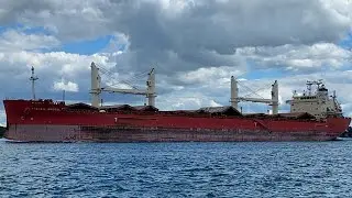 Saltwater Ship Federal Bristol
